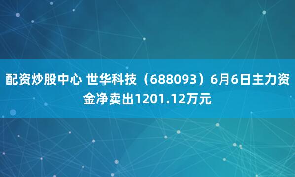 配资炒股中心 世华科技（688093）6月6日主力资金净卖出1201.12万元