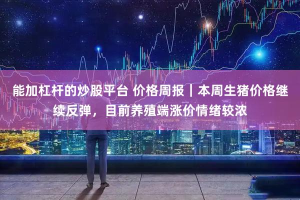 能加杠杆的炒股平台 价格周报｜本周生猪价格继续反弹，目前养殖端涨价情绪较浓